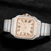 Pass Diamond Tester Hip Hop Iced Out Automatic Jewelry Watch Luxury Stainless Steel Mechanical Buss Down VVS Moissanite Watch